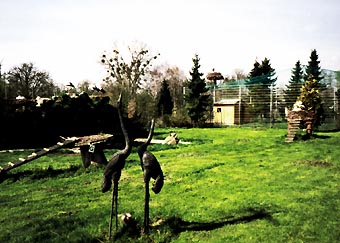 Vogelpark Linkenheim: Storchenwiese